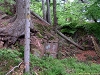 rando_ring05