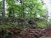rando_ring06