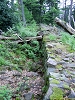 rando_ring08