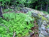 rando_ring09