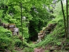 rando_ring14