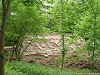 rando_ring15