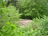rando_ring20