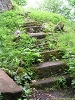 rando_ring21