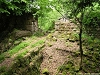 rando_ring23