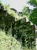 rando_ring30