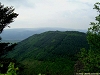 rando_ring34